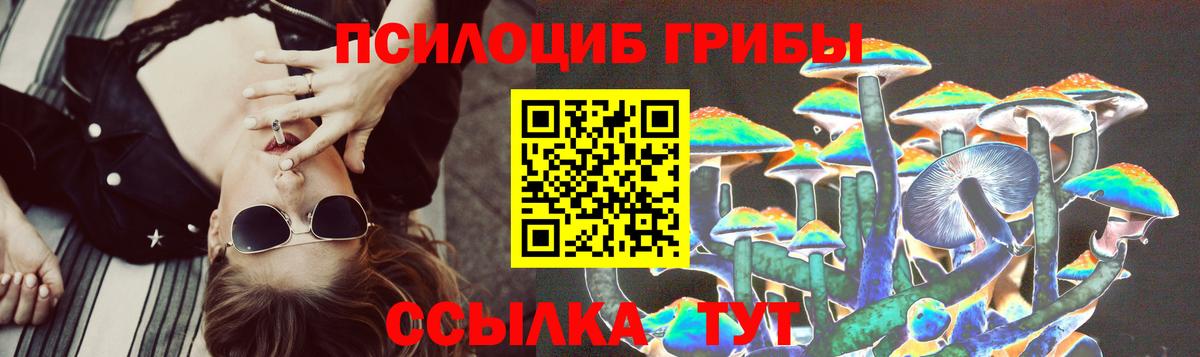 Галлюциногенные грибы Psilocybine cubensis Гусь-Хрустальный