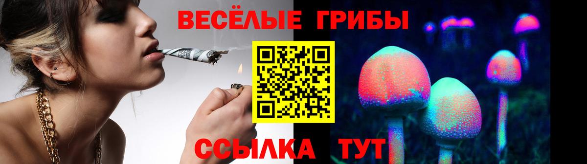 где найти наркотики  Вход с VPN  Галлюциногенные грибы MAGIC MUSHROOMS  Гусь-Хрустальный  Псилоцибиновые грибы GOLDEN TEACHER 